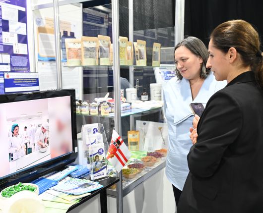 „Moldmedizin&Moldent”